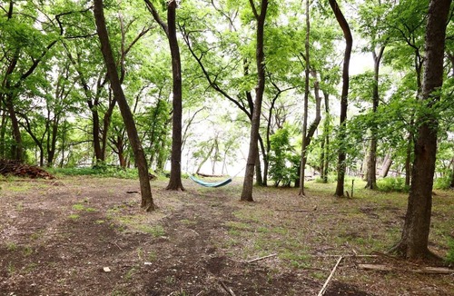 Allen House | Bamboo Heaven: Lakefront Luxury