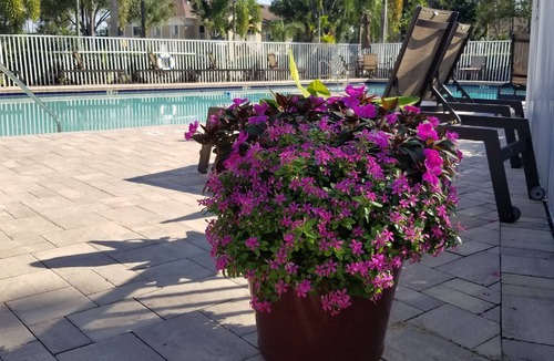 Fountain Lakes House | BEACH & SUNSETS CONDO!