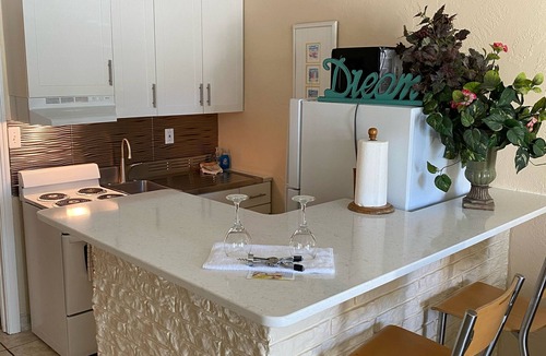 Redington Beach Condo | BEACHFRONT CONDO, SIMPLY AMAZING; FREE WIFI CHAIRS BBQ Pkg