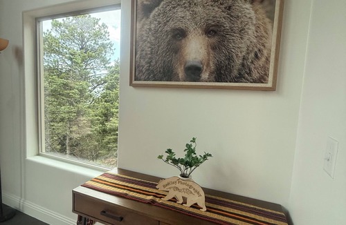 Cuchara House | Bear House in the mountains Cuchara Co.