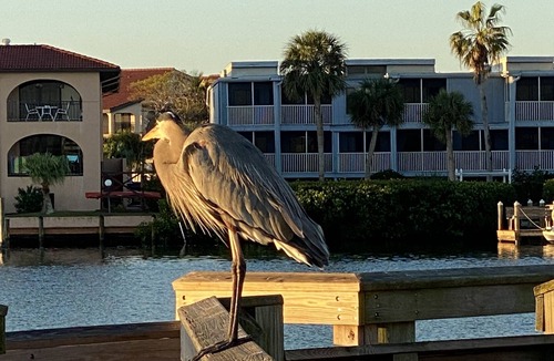 Englewood South Condo | Beautiful 2 bed 2bath bottom floor condo only 5 minute drive to the beach!