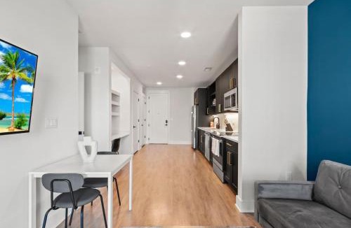 North Hyde Park Apartment | Beautiful Modern 1BD | Walk to Raymond James!