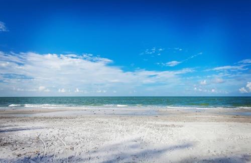 Indian Shores Apartment | Belleview Gulf Condos