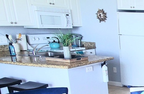 St. Petersburg Condo | Breathtaking Waterview Condo
