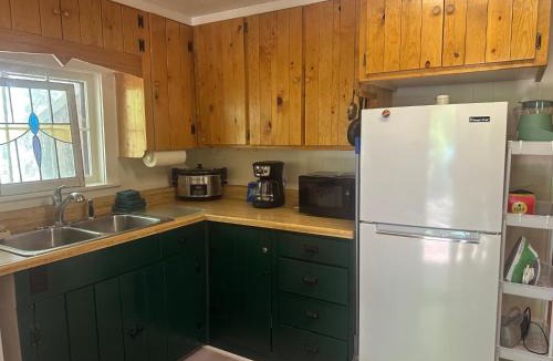 Red River House | Brown Dog Cabin With High Speed Wifi And Ac