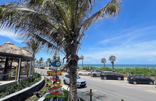 Dania Beach House | Casa Flamingo Splash Dania Beach Vibes!