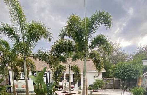 Mount Dora Cottage | Charming Celtic Cottage Retreat – 2 Bed, 1 Bath Haven"