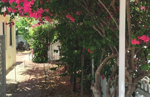 Buccaneer Point Cottage | Charming Seaside Getaway with All the Comforts of Home