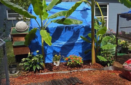 Southwest Orlando House | Charming tiny backyard home in Orlando with WiFi and AC. Only Animal lovers!
