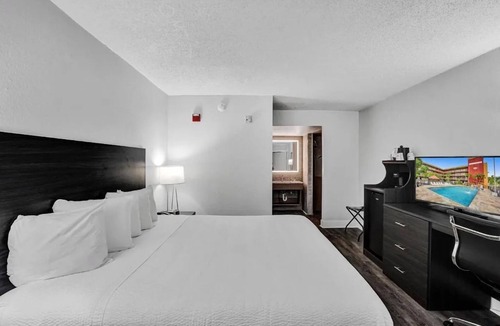 Downtown Hollywood Hotel | Chic Downtown Haven near Hollywood Beach Broadwalk and lively Entertainment