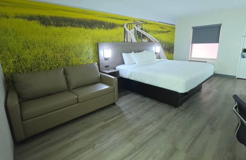 Alachua Hotel | Clarion Pointe Alachua - Gainesville Area