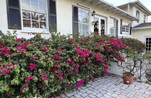 Little Havana Villa | Classic Villa by River front park near Beach/Brickell