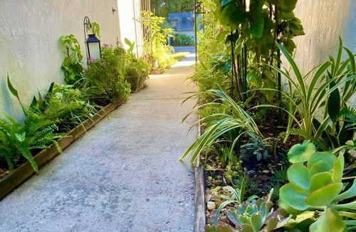 North Beach House | Coastal Garden Retreat: Close to beaches!