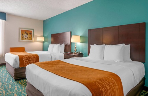Survey Creek Hotel | Comfort Inn & Suites Fort Lauderdale West Turnpike