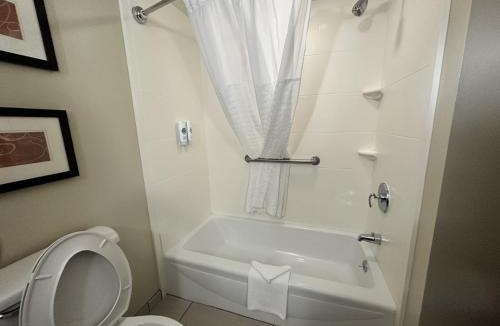 Dunnellon Hotel | Comfort Suites Dunnellon near Rainbow Springs
