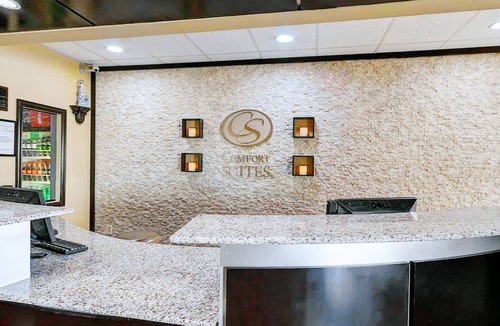 Rowlett Hotel | Comfort Suites Lake Ray Hubbard