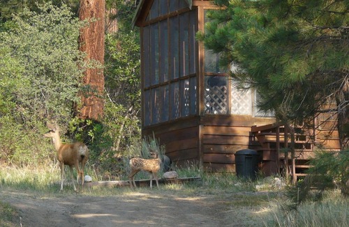 Bayfield Cabin | Comfortable Cabin in a quiet rural setting