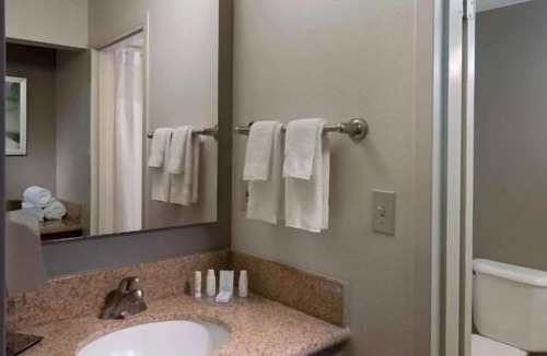 Boca Raton Hotel | Contemporary Deluxe Room Close to Beaches! Free Parking, Pet-Friendly, Pool!