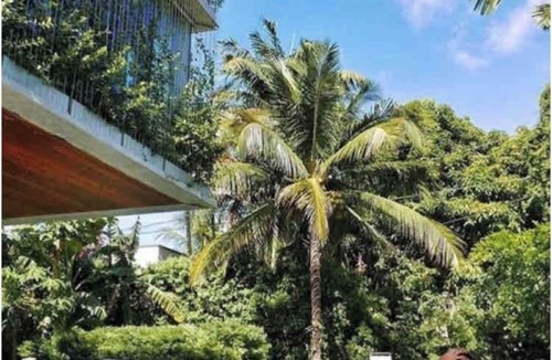 Buena Vista House | Cool Ultra-Modern Super Luxury Oasis in miami