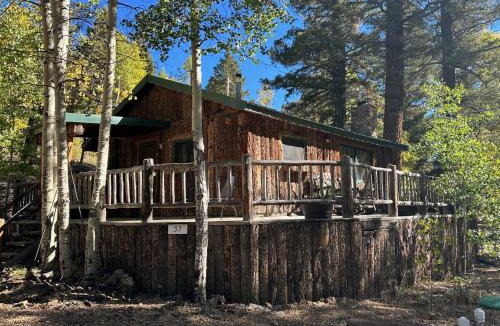 Red River House | Cowboy Cabin In Red River