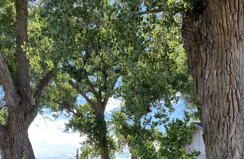 Hoehne Other | Cowboys Hideout on Historic Santa Fe Trail