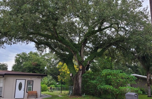 Temple Crest House | Cozy 1-bedroom barn in beautiful Tampa with AC