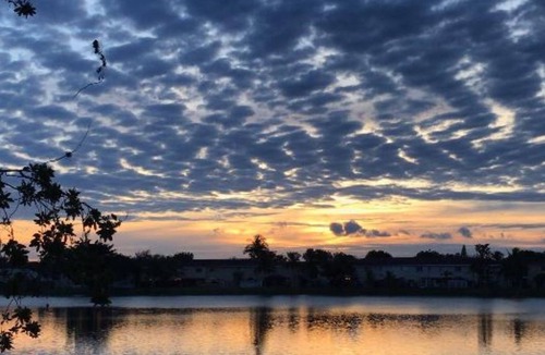 Richmond West House | Cozy 4 BR Town Home + Beautiful Lake View