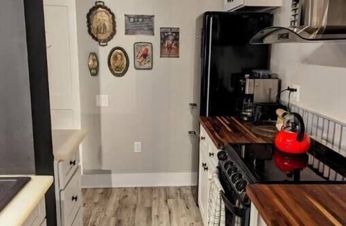Tampa Heights Apartment | Cozy AF Gothic Rose Gallery. Sleeps 4 with I pull out queen size bed.