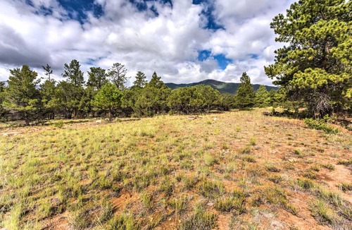 Buena Vista Apartment | Cozy Buena Vista Apartment < 4 Mi to Main Street!