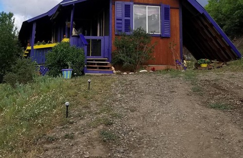 Aspen Springs Cottage | Cozy Cabin tucked away in the hillside amongst the best wildlife. views........
