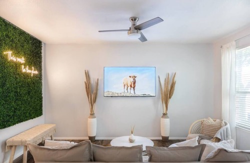 North San Antonio - SAT House | Cozy Clean Northside Home - 5 minutes from the Airport!