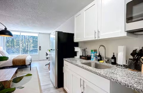 Hollyford Apartment | Cozy King Studio | Near Zoo & Downtown
