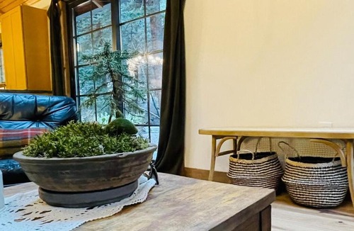 Shadow Mountain Ski Chalet | Creekside Cabin Red Rocks Concert Retreat