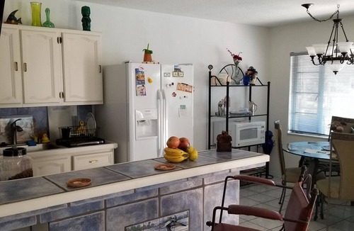 Madeira Beach House | Dolphins and Manatees in Your Backyard!
