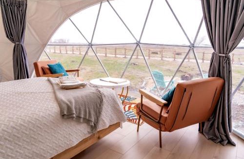 Wolfe City Other | Enchanting Glamping Dome with Fire Pit & Stargazing near Wolfe City, Texas