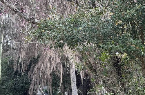 Gainesville House | Enchanting house near UF