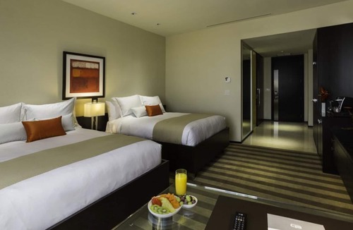 Seybold Hotel | Enjoy Our Stress-Free Experience with Outdoor Pool and Shuttle | 3 Rooms