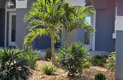 Palm River Estates House | Fall In Naples - Game Room Pvt Pool Hot Tub Impeccable Decor 3 Bedroom Home