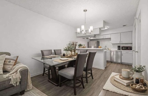 Central Arlington Apartment | MAJOR INTERNATIONAL SPORTING EVENT 2026 Walk to AT&T Stadium - Modern 2BR