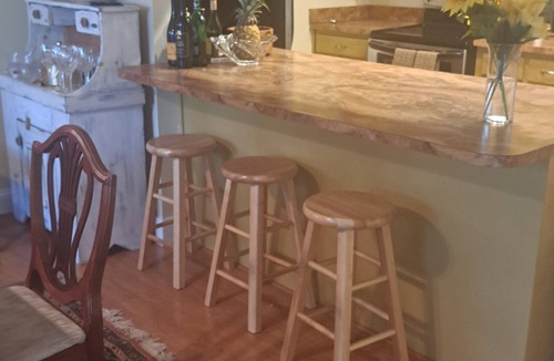 Spring Hill House | Great house, upscale neighborhood close to everything. Pet friendly. 20ft pool