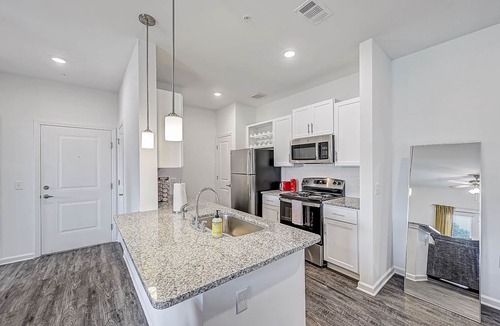 Doctors Inlet Apartment | ⭐Grey Serenity⭐ 1Br w/Private Balcony Nr DWTN Jax