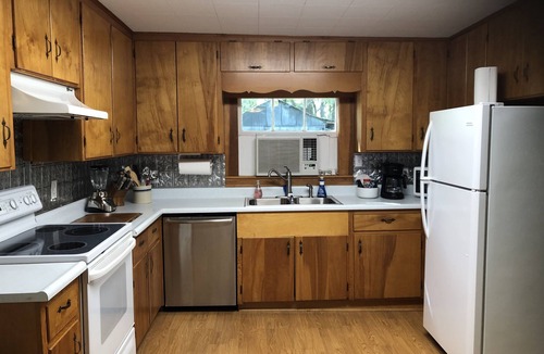New Braunfels Cabin | Guadalupe River Road Retreat Bluebird Cabin