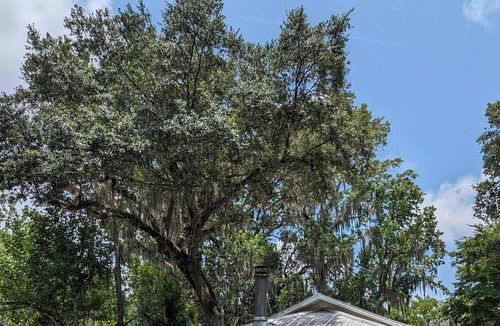 Homosassa Cottage | Historic Cottage minutes from the Homosassa River, Wildlife Park! Pet-friendly