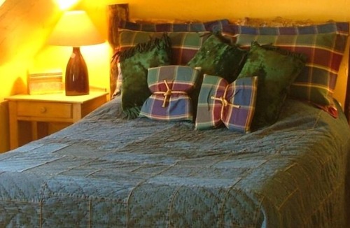 Hartsel Apartment | Historic Weston Pass Guest Apt 950 Sqft., 35 Miles to Breck