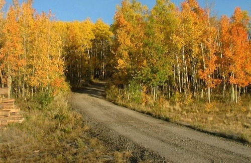 Hartsel Apartment | Historic Weston Pass Guest Apt 950 Sqft., 35 Miles to Breck