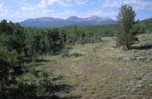 Hartsel Apartment | Historic Weston Pass Guest Apt 950 Sqft., 35 Miles to Breck
