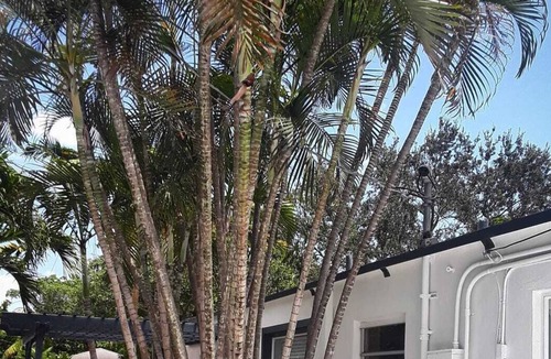 Highland Garden House | Homely & relaxing 4br/3ba house w/heated private pool for up to 8pp