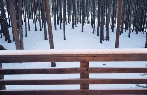 Evergreen Cabin | Hot Tub Mind Serene-Serenity Chalet 15 mins from the lake