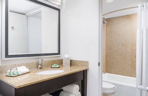 Southwest Orlando Hotel | ICON Park King Room Water Park & Arcade