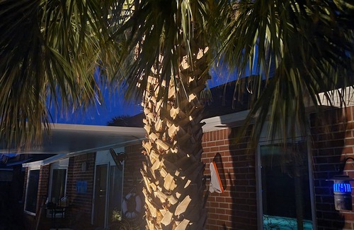 Navarre House | Large heated/chilled private pool 6 feet deep. 10 minutes to Beach/Golf